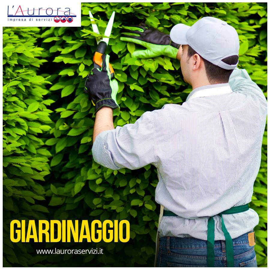 Preventivo GRATIS per manutenzione al tuo giardino a Napoli 